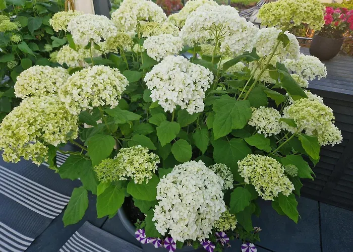 Happy Place Indu Style Lägenhet